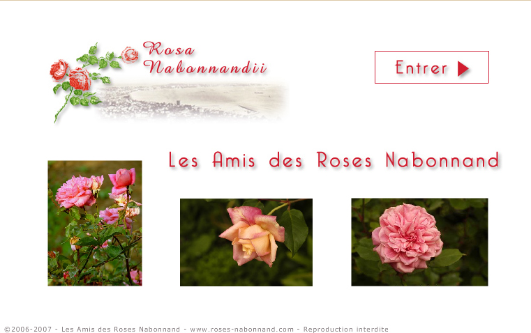 Site Rosa Nabonnandii - Les Amis des Roses Nabonnand - Tous droits réservés